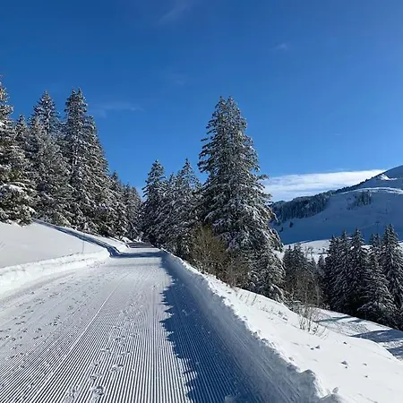 Cocon Savoyard A Les Memises Thollon-les-Memises